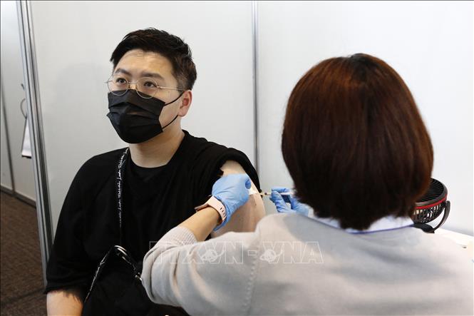 Dữ liệu chứng minh tiêm vaccine ngăn chặn hiệu quả dịch bệnh tại Nhật Bản